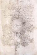 Claude Lorrain A Tree Trunks (mk17) oil on canvas
